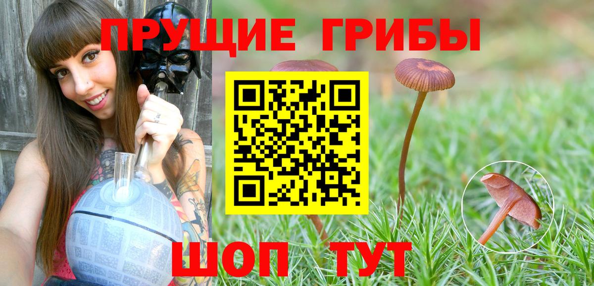 Псилоцибиновые грибы мухоморы Шарыпово