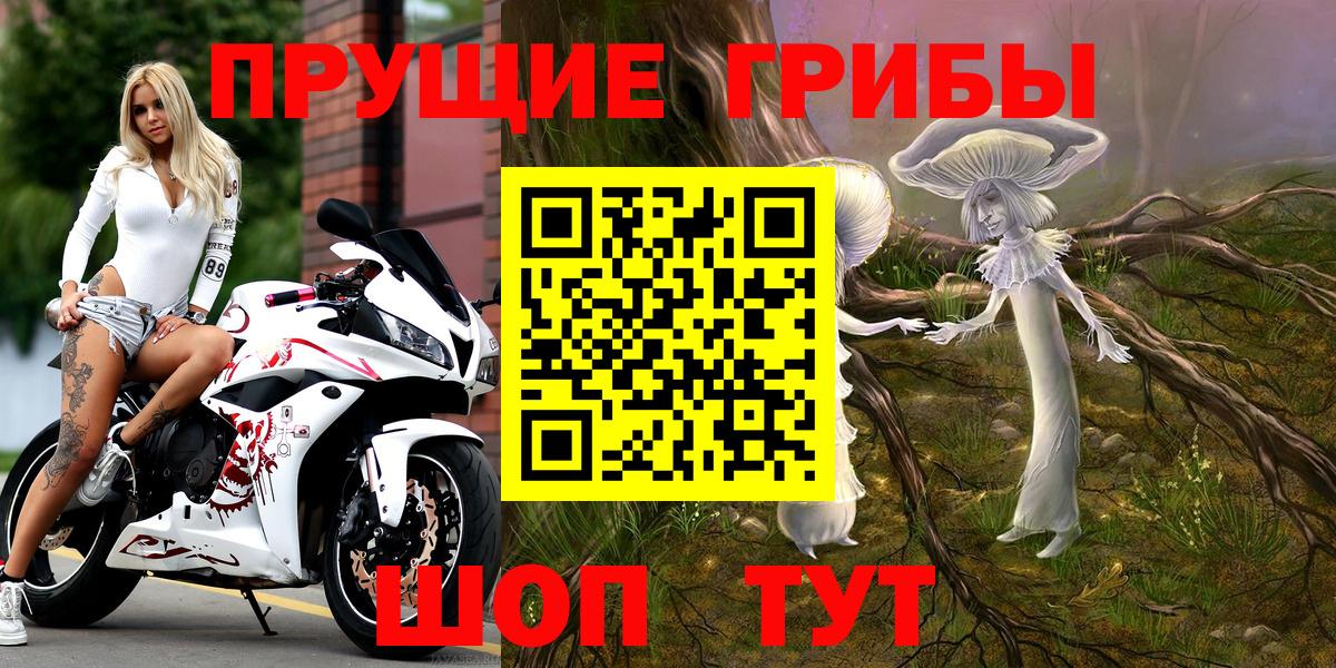 Шарыпово  Галлюциногенные грибы MAGIC MUSHROOMS  Вход с VPN 