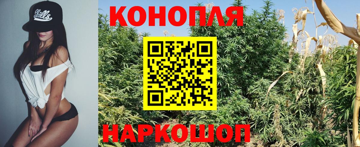Бошки марихуана гибрид  Вход с VPN  Марихуана Amnesia  Шарыпово 